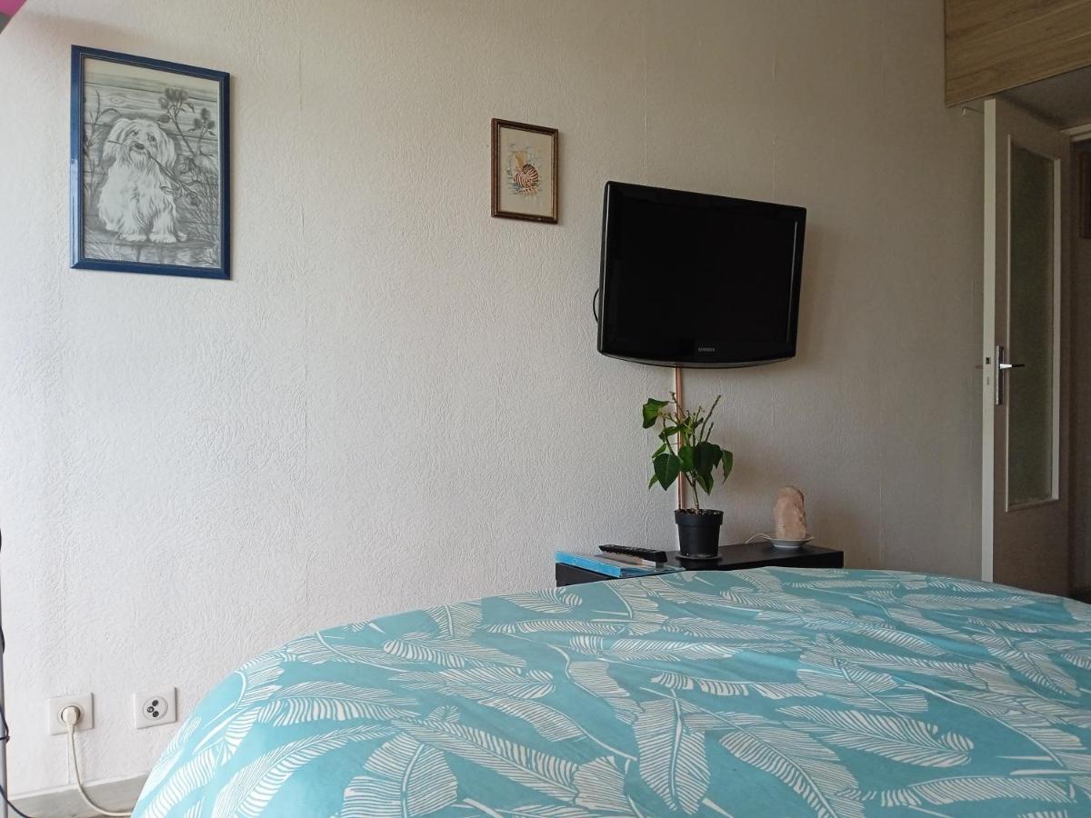 Studio Proche Gare Centre Ville Pau Ngoại thất bức ảnh